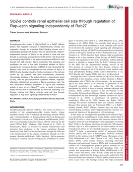 Slp2-A Controls Renal Epithelial Cell Size Through Regulation of Rap