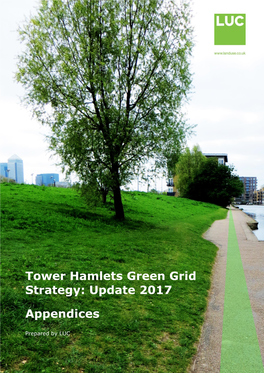 Green Grid Strategy Update