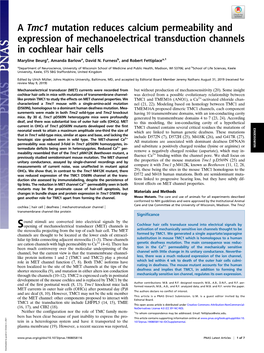 A Tmc1 Mutation Reduces Calcium Permeability and Expression of Mechanoelectrical Transduction Channels in Cochlear Hair Cells