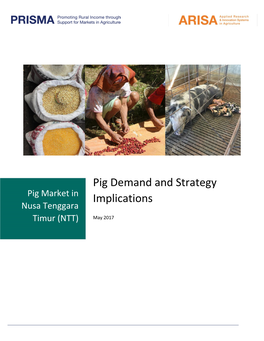 Pig Demand and Strategy Implications