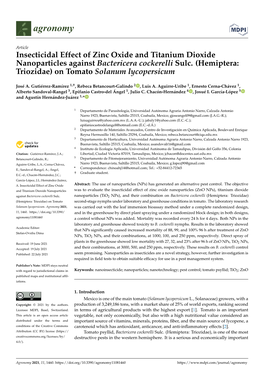 Insecticidal Effect of Zinc Oxide and Titanium Dioxide Nanoparticles Against Bactericera Cockerelli Sulc