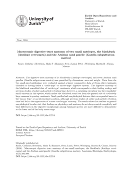 Macroscopic Digestive Tract Anatomy of Two Small Antelopes, the Blackbuck (Antilope Cervicapra) and the Arabian Sand Gazelle (Gazella Subgutturosa Marica)