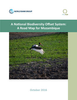 A National Biodiversity Offset System: a Road Map for Mozambique