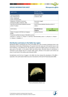 SPECIES INFORMATION SHEET Monoporeia Affinis