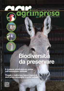 Biodiversità Da Preservare