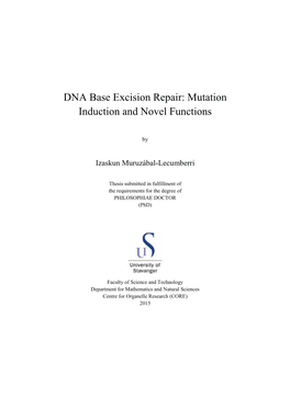 DNA Base Excision Repair: Mutation Induction and Novel Functions