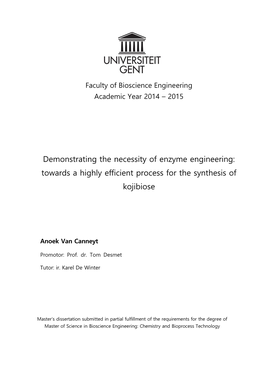 Towards a Highly Efficient Process for the Synthesis of Kojibiose