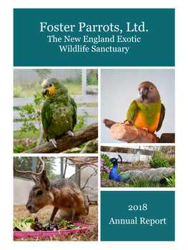 2018 Annual Report Foster Parrots, Ltd