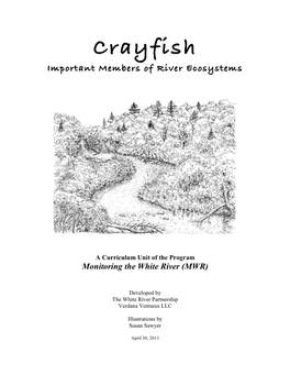 Crayfish Important Members of River Ecosystems