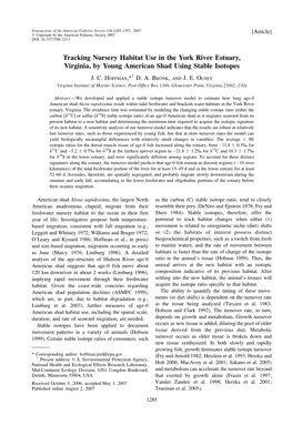 Tracking Nursery Habitat Use in the York River Estuary, Virginia, by Young American Shad Using Stable Isotopes