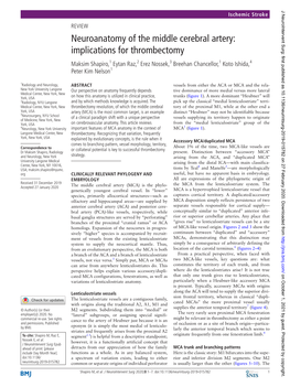 Neuroanatomy of the Middle Cerebral Artery: Implications for Thrombectomy