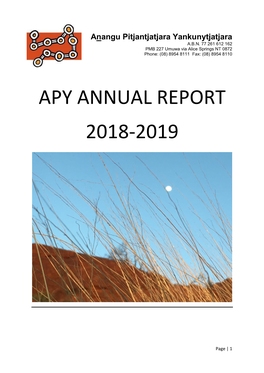 Apy Annual Report 2018-2019