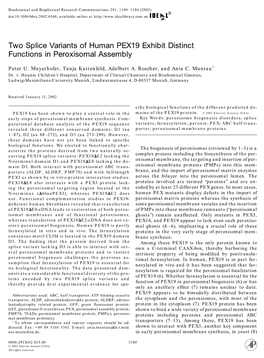 Two Splice Variants of Human PEX19 Exhibit Distinct Functions in Peroxisomal Assembly