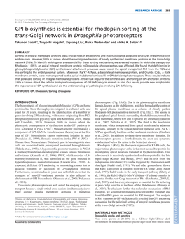 GPI Biosynthesis Is Essential for Rhodopsin Sorting at the Trans-Golgi