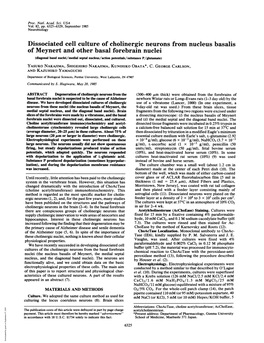 Dissociated Cell Culture of Cholinergic Neurons from Nucleus Basalis Of