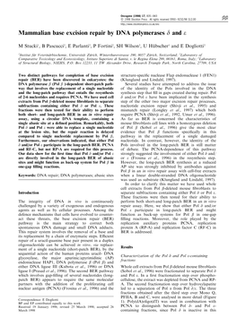 Mammalian Base Excision Repair by DNA Polymerases D and E