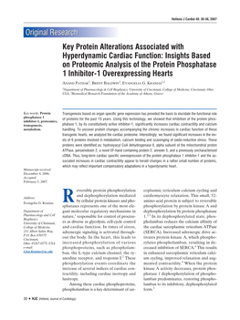 Key Protein Alterations Associated with Hyperdynamic Cardiac Function