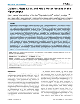 Diabetes Alters KIF1A and KIF5B Motor Proteins in the Hippocampus