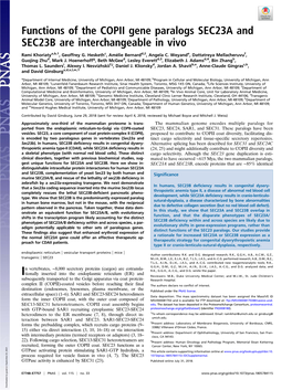 Functions of the COPII Gene Paralogs SEC23A and SEC23B Are Interchangeable in Vivo