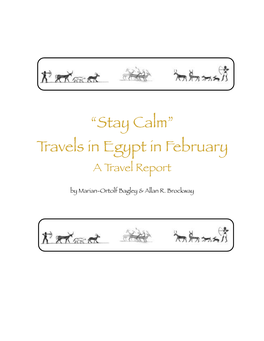 “Stay Calm” Travels in Egypt in February a Travel Report