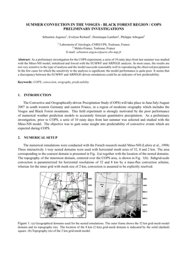 Summer Convection in the Vosges - Black Forest Region / Cops Preliminary Investigations