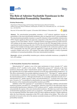 The Role of Adenine Nucleotide Translocase in the Mitochondrial Permeability Transition