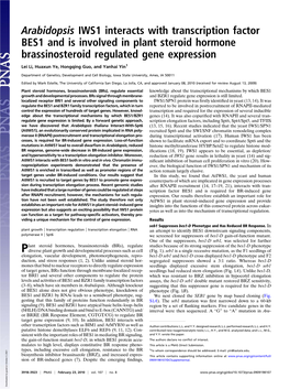 Arabidopsis IWS1 Interacts with Transcription Factor BES1 and Is Involved in Plant Steroid Hormone Brassinosteroid Regulated Gene Expression