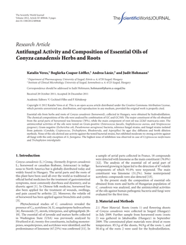 Conyza Canadensis Herbs and Roots