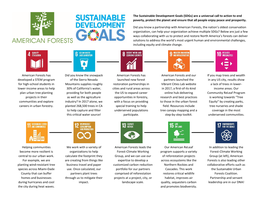 American Forests Sustainable Development Goals Overview