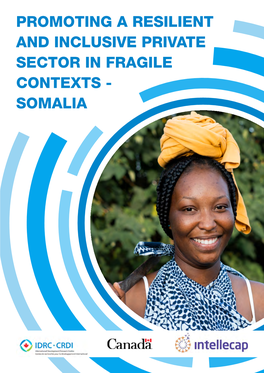 Promoting a Resilient and Inclusive Private Sector in Fragile Contexts - Somalia Acknowledgements