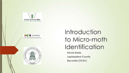 Introduction to Micro-Moth Identification David Slade Lepidoptera County Recorder (VC41) What Is the Difference… Macro Vs Micro a Large Micro – Wingspan C35mm