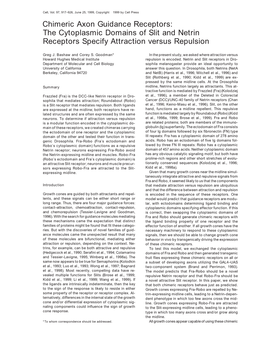 The Cytoplasmic Domains of Slit and Netrin Receptors Specify Attraction Versus Repulsion