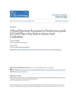 A Broad Spectrum Racemase in Pseudomonas Putida KT2440 Plays a Key Role in Amino Acid Catabolism Atanas D