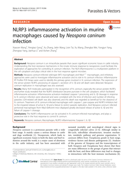 NLRP3 Inflammasome Activation in Murine Macrophages Caused By