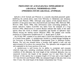 Predation of Achaearanea Tepidariorum (Araneae, Theridiidae) Upo N Sphodros Fitchi (Araneae, Atypidi,Ae )