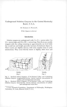 Underground Solution Canyons in the Central Kentucky Karst, U.S.A