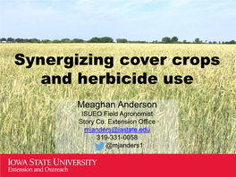 Using Your Cover Crops to Manage Weeds and Terminating Them Before