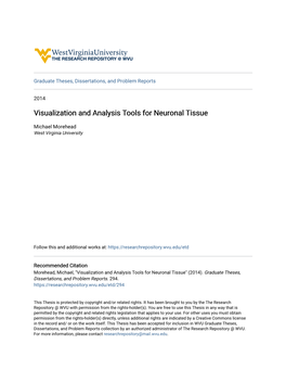 Visualization and Analysis Tools for Neuronal Tissue