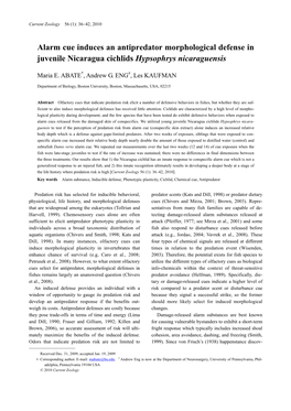 Alarm Cue Induces an Antipredator Morphological Defense in Juvenile Nicaragua Cichlids Hypsophrys Nicaraguensis