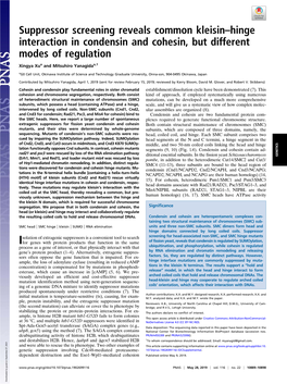 Suppressor Screening Reveals Common Kleisin–Hinge Interaction in Condensin and Cohesin, but Different Modes of Regulation