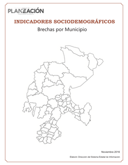INDICADORES SOCIODEMOGRÁFICOS Brechas Por Municipio