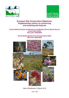 Dorset Heaths (Purbeck & Wareham)