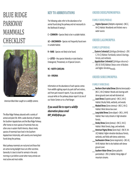 Blue Ridge Parkway Mammals Checklist