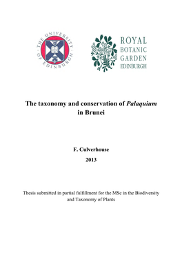 The Taxonomy and Conservation of Palaquium in Brunei