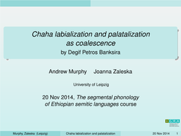 Chaha Labialization and Palatalization As Coalescence by Degif Petros Banksira