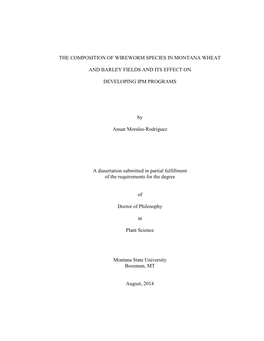 The Composition of Wireworm Species in Montana Wheat