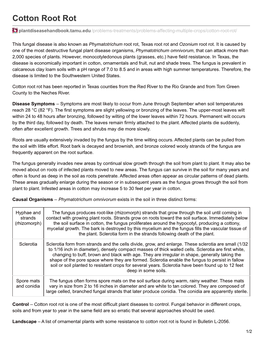 Cotton Root Rot