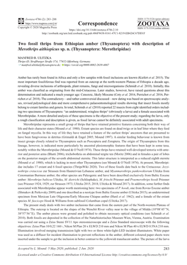 Two Fossil Thrips from Ethiopian Amber (Thysanoptera) with Description of Merothrips Aithiopicus Sp