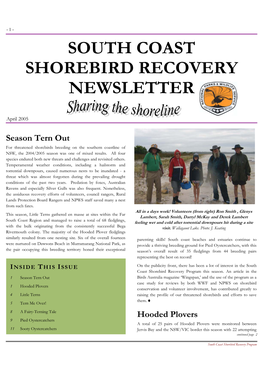 South Coast Shorebird Recovery Newsletter