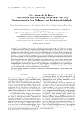 Limestone Rock Pools As Breeding Habitats of the Relict Frog Tsingymantis Antitra from Madagascar and Description of Its Tadpole